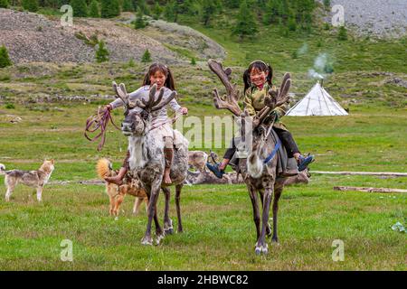 Comunità Turca di mandrie di renne semi-nomadi che vivono nella provincia più settentrionale della Mongolia Foto Stock