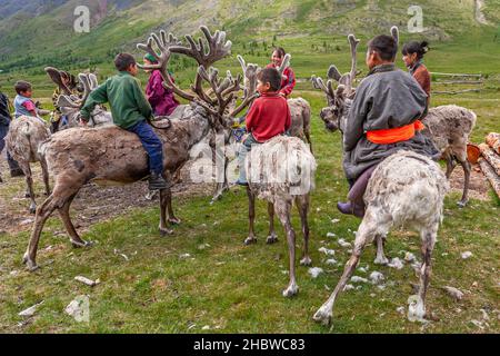 Comunità Turca di mandrie di renne semi-nomadi che vivono nella provincia più settentrionale della Mongolia Foto Stock