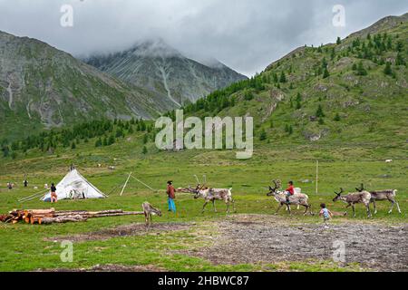 Comunità Turca di mandrie di renne semi-nomadi che vivono nella provincia più settentrionale della Mongolia Foto Stock