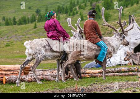 Comunità Turca di mandrie di renne semi-nomadi che vivono nella provincia più settentrionale della Mongolia Foto Stock