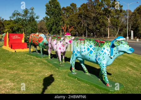 Cows in the Park Art, Shepparton, Victoria, Australia Foto Stock