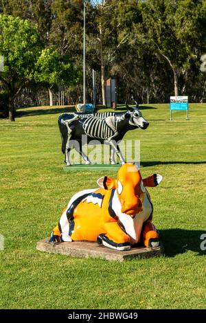 Cows in the Park Art, Shepparton, Victoria, Australia Foto Stock