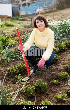 Giovane donna in un maglione giallo che lavora nel campo Foto Stock