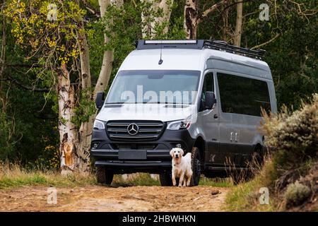 Airstream Interstate 24X campervan su strada sterrata; cane Golden Retriever color platino; Huntington Canyon; Utah centrale orientale; USA Foto Stock