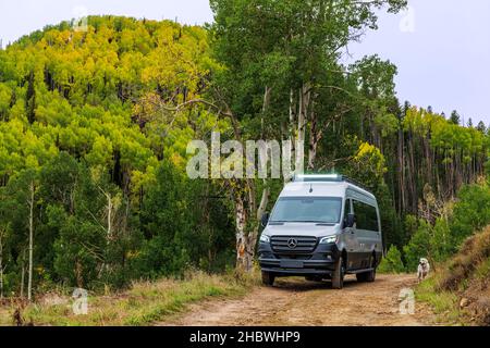 Airstream Interstate 24X campervan su strada sterrata; cane Golden Retriever color platino; Huntington Canyon; Utah centrale orientale; USA Foto Stock