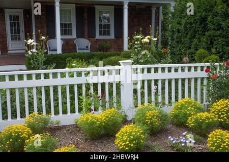 Fiori di cortile nel giardino di Northampton Massachusetts. Foto Stock