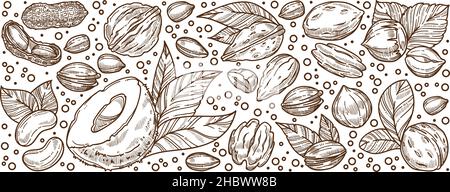 Noci nutritive e sane, mandorla con foglie, crudo e arrostito. Diting e cibo con microelementi e nutrienti antiossidanti, bianco e nero Illustrazione Vettoriale