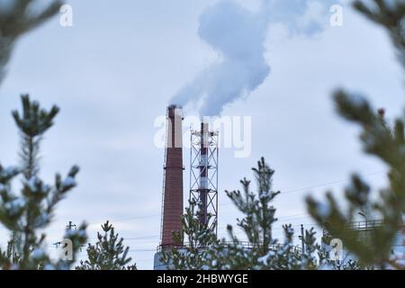 Due camini industriali che fumano con fumo sullo sfondo pineta invernale Foto Stock