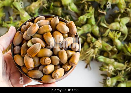 Nocciole turche con foglie proprie, dalla regione del Mar Nero di Turchia nuove noci di Harvest.Hand che tengono noci piene in ciotola di bambù Foto Stock