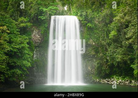 Eccezionali Cascate Millaa Millaa nel Queensland tropicale del Nord. Foto Stock