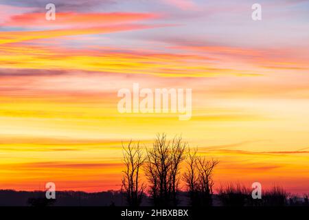 Telefoto di tre piccoli alberi senza frondoli all'orizzonte che si staglia contro il cielo giallo dell'alba. Inverno. Foto Stock