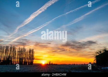 L'alba cielo su un campo coperto di gelo con una linea di alberi di pioppo  all'orizzonte. Cielo perlopiù chiaro con alcune macchie di tipo cirrus  nuvole. Campagna del Kent in Inghilterra. Inverno