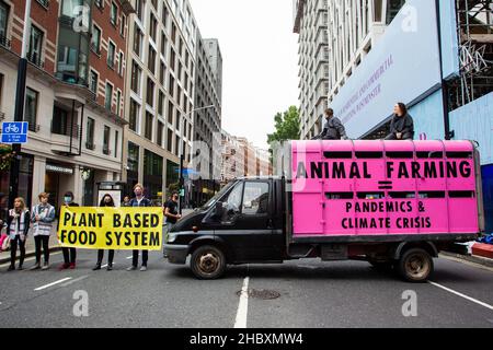 I manifestanti della ribellione animale in cima al camion rosa del macello con messaggio Animal Farming eguaglia le pandemie e la crisi climatica Londra 2020 Foto Stock