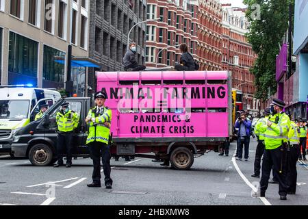 I manifestanti della ribellione animale in cima al camion rosa del macello con l'allevamento animale della polizia eguaglia le pandemie e la crisi climatica Londra 2020 Foto Stock