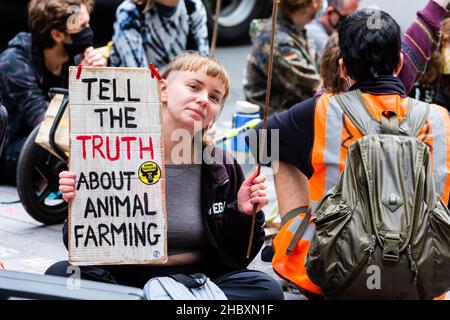 Attivista della ribellione degli animali seduto in strada al di fuori della Barclays Bank con la targhetta Tell the Truth About Animal Farming London 2020 Foto Stock