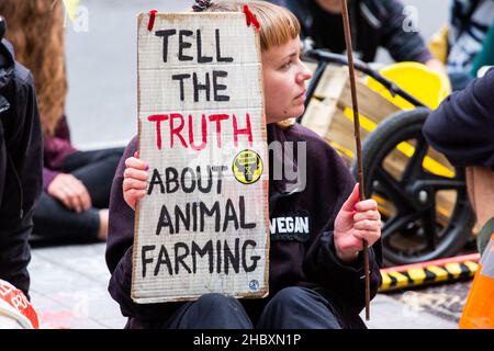 Attivista della ribellione animale seduto in strada al di fuori della Barclays Bank con la targhetta Tell the Truth About Animal Farming London 2020 Foto Stock