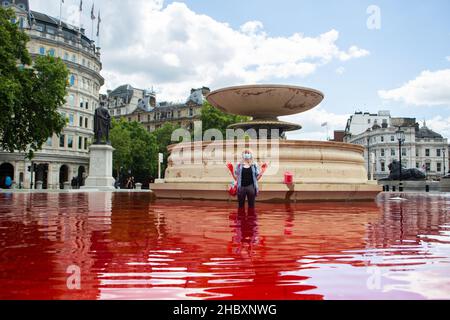 Attivista della ribellione degli animali in piedi in acqua rossa nella fontana di Trafalgar Square che tiene le mani in Air London 2020 Foto Stock