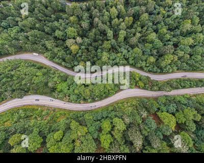 Vista aerea su due strade che attraversano le gole conifere foresta Foto Stock