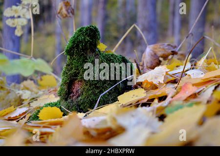 Otoño en Andorra, un paseo por el Vall d'Incles y por los alrededores de AINA Foto Stock