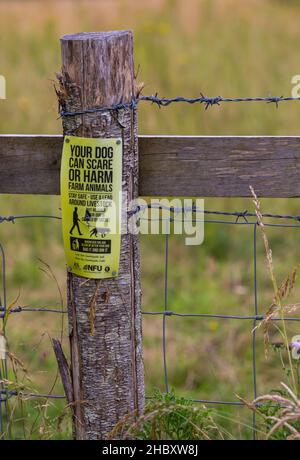 Il vostro cane può spaventare o danneggiare animali da fattoria rimanere al sicuro utilizzare un piombo intorno al segno di bestiame a Martin Down Nature Reserve in Hampshire Dorset confine Regno Unito Foto Stock