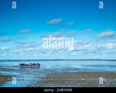 Vista panoramica del Mare di Wadden della Germania del Nord con bassa marea con un gruppo guidato di escursionisti mudflat in un cielo blu con nuvole. Foto Stock