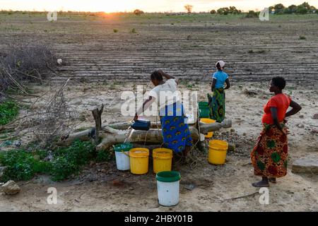 ZAMBIA, Mazabuka, zona di Chikankata, casa, le donne prelevano acqua dal pozzo al crepuscolo / SAMBIA, Mazabuka, zona di Chikankata, Bauernhof, Frauen holen Wasser vom Brunnen Foto Stock