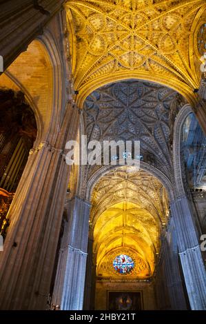 Soffitti a volta gotici nella Cattedrale di Siviglia, Spagna. Foto Stock