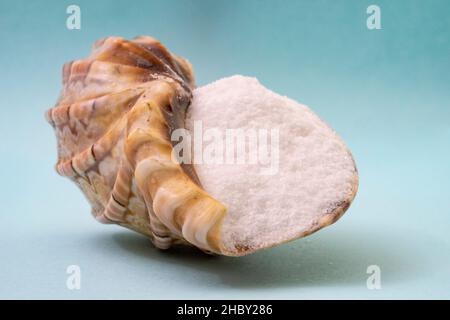 Guscio pieno di sale marino, su sfondo blu, macro Foto Stock