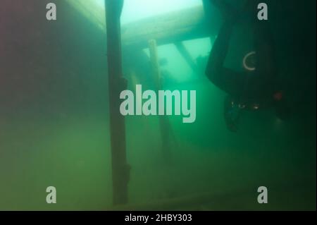 Subacqueo nella stiva del relitto delle Bermuda nella riserva sottomarina dell'Alger nel lago superiore Foto Stock