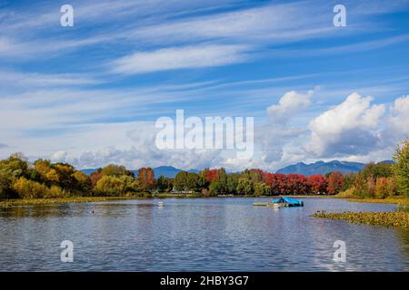 VANCOUVER, CANADA - Ott 20, 2021: Una bella vista del lago di Trout in un parco in colori autunnali a Vancouver, Canada Foto Stock