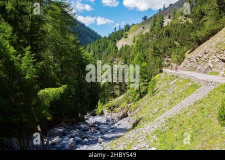 Val Alpisella, Bormio (IT), escursione in mountain bike Foto Stock