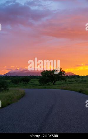 Tramonto vibrante in Sonoita Arizona, strada che porta in lontananza. Foto Stock