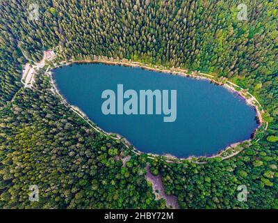 Veduta aerea del Lac des corbeaux circondato da foresta, Voges, la Bresse, Lago Crows Foto Stock