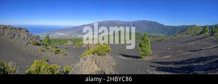 Vista dal Mirador del Llano del Jable verso Los Llanos a destra Montana Quemada, distrutto dall'eruzione del 2021, El Paso, la Palma, Spagna Foto Stock