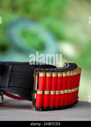Cintura sportiva a cartuccia. Cartucce rosse per fucile in custodia. Sfondo sfocato verde. Foto Stock