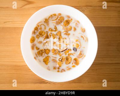 Semplice colazione veloce e semplice cereali nel latte. Foto Stock