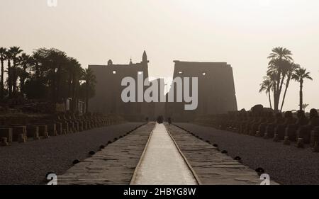 Viale di sfingi al tramonto con strada che porta all'ingresso dell'antico tempio di Luxor egptiano in silhouette Foto Stock