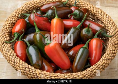 Cestino con peperoni Jalapeno freschi, rossi e verdi, maturi e non maturi da vicino Foto Stock