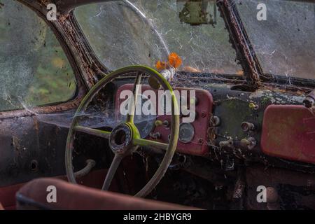 Auto d'epoca, Neandertal, Erkrath, Germania Foto Stock