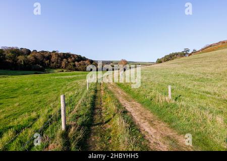 Una pista agricola che attraversa campi e campagna ondulata sul South-West Coast Path sulla Heritage Coast vicino ad Abbotsbury, Dorset, Foto Stock