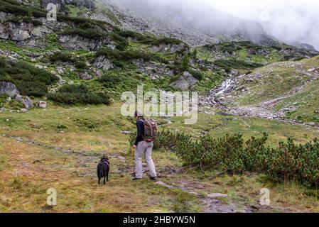 Donna escursione con il suo cane nel Parco Nazionale degli alti Tauri, le alpi austriache Foto Stock