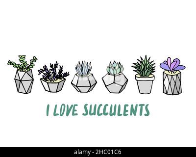 Set di succulenti cactus houseplants in vasi di fiori grigi. Icone vettoriali su sfondo bianco Illustrazione Vettoriale