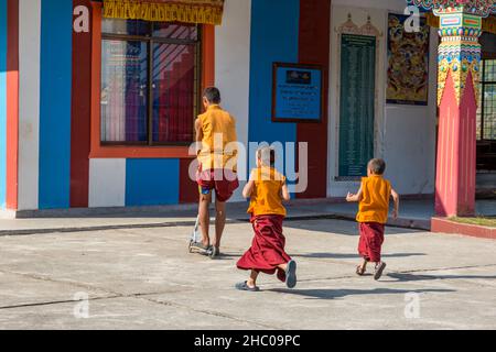 Un giovane monaco buddista che guida uno scooter al monastero di Pema TSAL Sakya vicino a Pokhara, Nepal. Seguono due ragazzi più giovani. Foto Stock