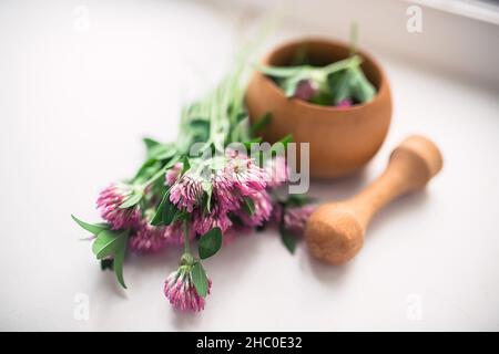 Ancora vita con Trifolium pratense, fiori di trifoglio rosso raccolti nel prato in un mortaio di legno. Preparazione di elisir o medicinali da medicinali Foto Stock