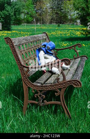 Vecchio giocattolo imbottito seduto su una panca in un campo verde Foto Stock