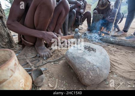 Il tribu di Himba è una tribù semi-nomade, pastorale della Namibia settentrionale Foto Stock