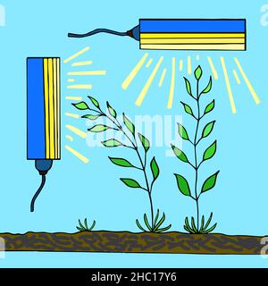 Piante crescenti raggiungono per fonte di luce, lampada sostituisce il sole Illustrazione Vettoriale