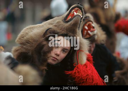 Bucarest, Romania - 21 dicembre 2021: La giovane donna indossa la pelliccia di orso e svolge un rituale tradizionale rumeno di Capodanno (Bears Dance o Dansul Urs Foto Stock