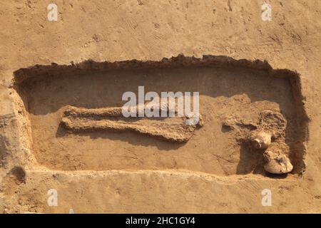 (211218) -- ZHENGZHOU, 18 dicembre 2021 (Xinhua) -- la foto mostra un'antica tomba trovata nel sito culturale di Peiligang a Xinzheng, provincia centrale di Henan della Cina. Gli archeologi hanno detto venerdì che avevano trovato le prime prove della gente cinese che usava monascus per fare l'alcool in vasi di argilla di 8.000 anni scoperti nella Cina centrale. Peiligang è una delle prime rovine del villaggio in Cina, risalente a circa 8.000 anni fa. Fornisce importanti prove per studi sull'origine e lo sviluppo dell'agricoltura, della ceramica, dell'industria tessile e delle tecniche di produzione di alcol in ancien Foto Stock