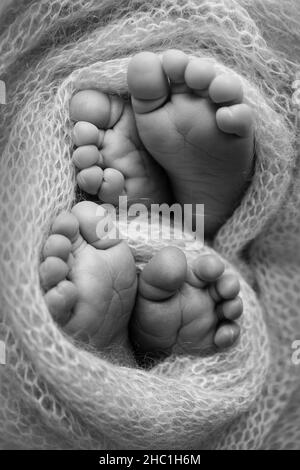 Piedi di gemelli neonati. Due paia di piedi del bambino in una coperta di maglia. Foto Stock